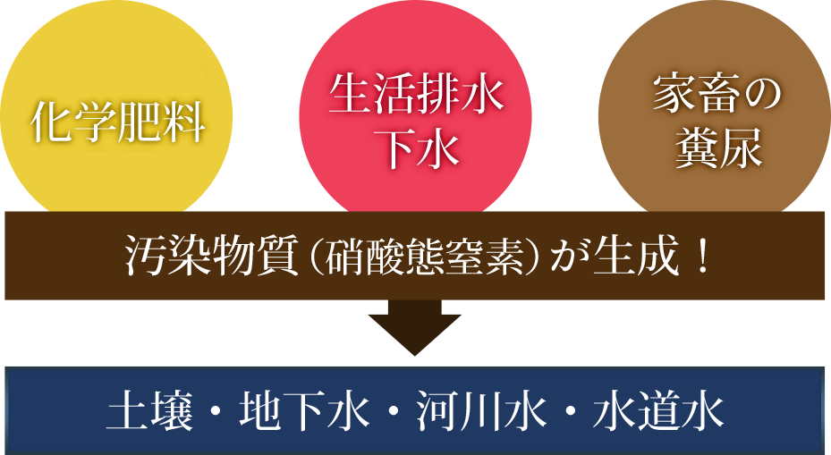 安全だと思っていたミネラルウォーターがどうして？