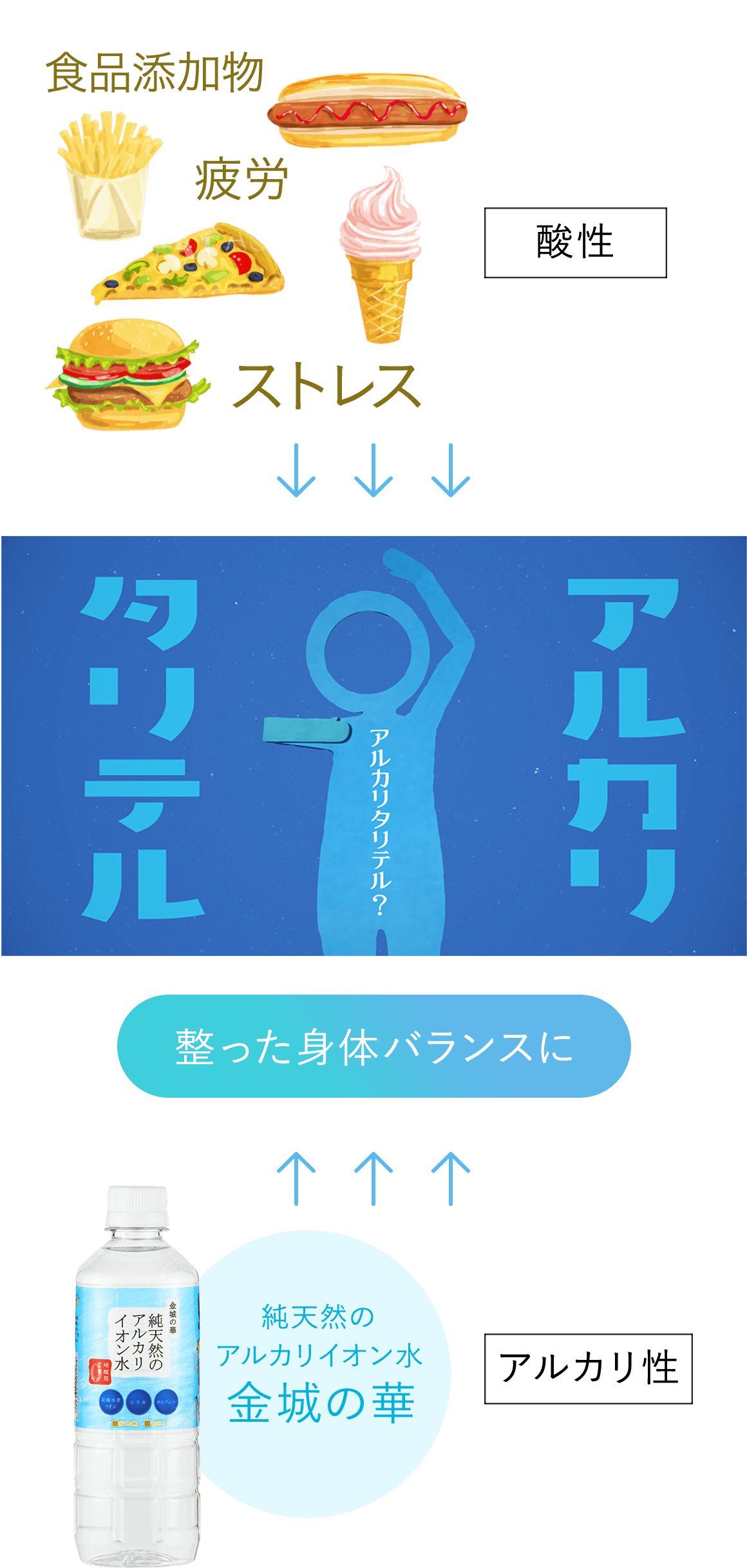 酸性に偏りがちな身体バランスを整える