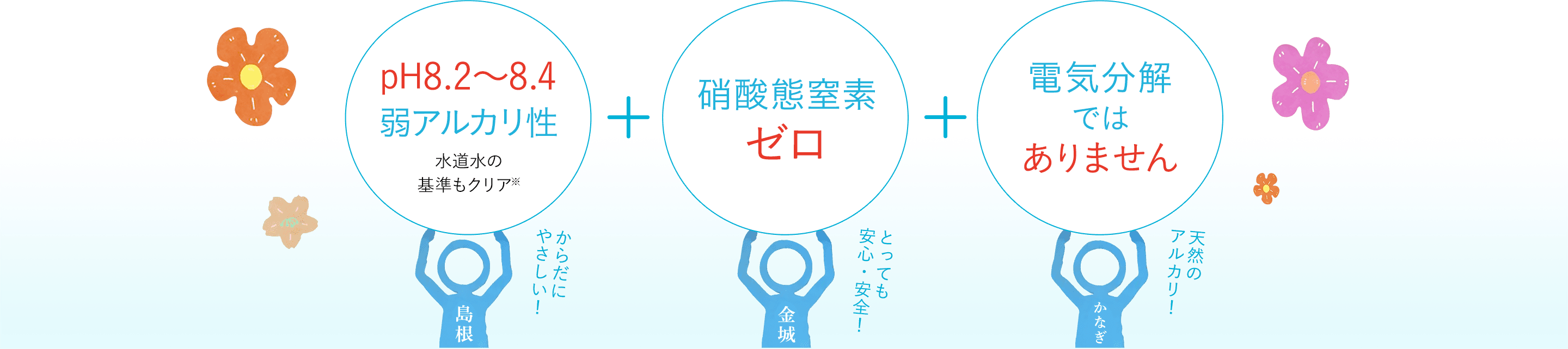 pH8.2～8.4弱アルカリ性、硝酸態窒素ゼロ、電気分解ではありません