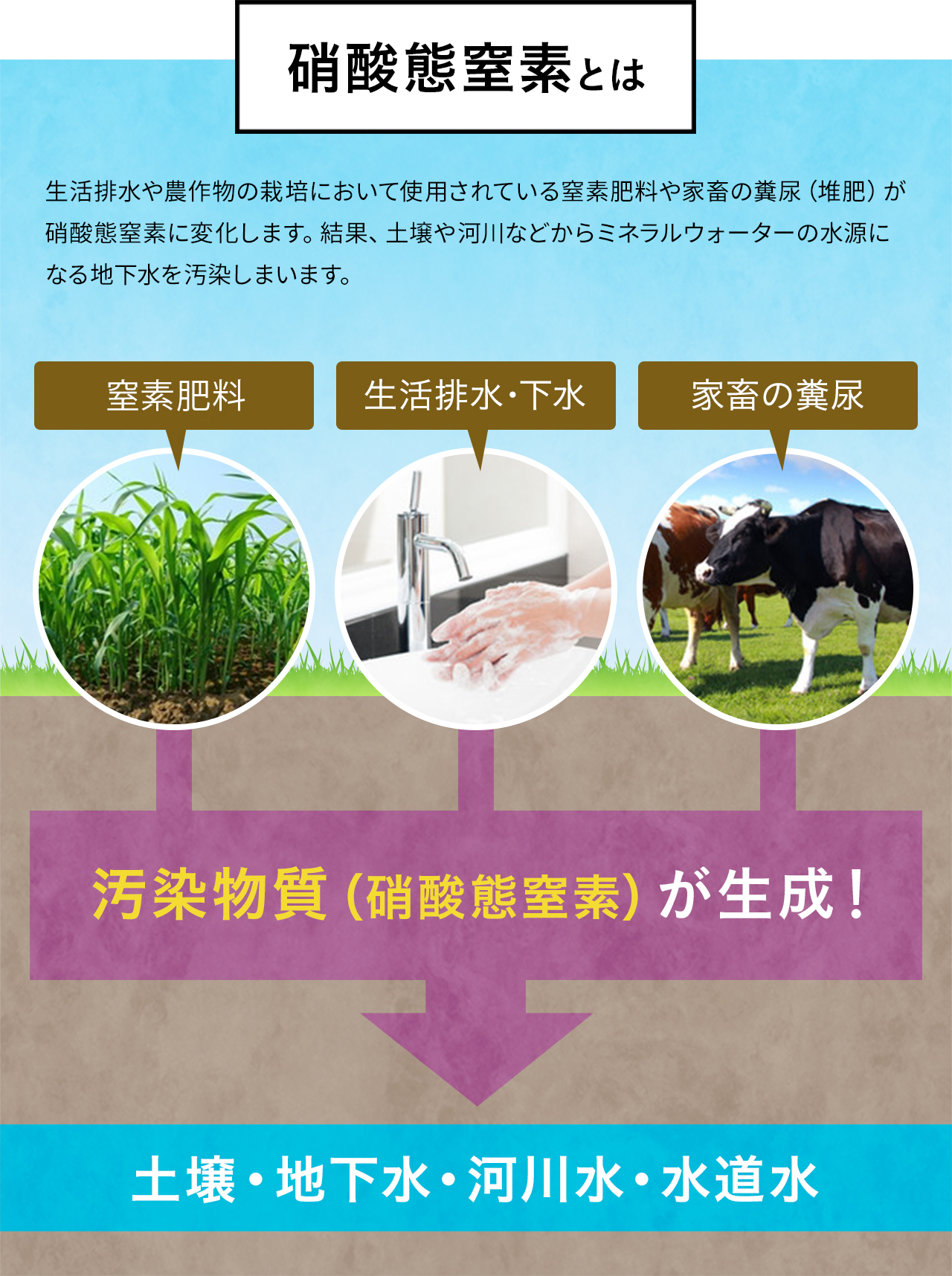 硝酸態窒素とは 農作物の栽培において、窒素肥料として使用される硝酸アンモニウムや硝酸ナトリウム（硝酸態窒素）を指します。この硝酸態窒素などが大量に肥料としてまかれた結果、ミネラルウォーターとして販売されている地下水が汚染されてしまいます。