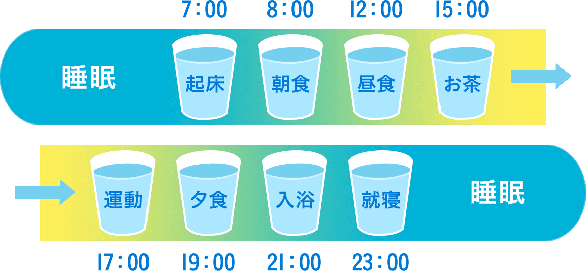 一日の水の摂取タイミング