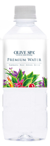 OLIVE SPA（オリーブスパ）